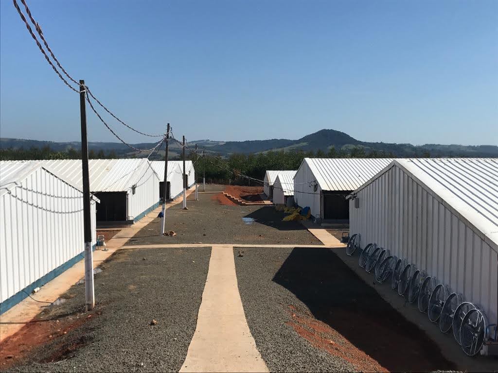 Coberturas Realizadas